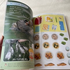 ポピー（年長児用）・わぁくん4冊（未使用）の画像