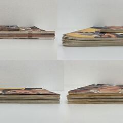 【レガストック川崎本店】復刻版「スタア」出版社 国書刊行会 全10冊+ポスター1枚の画像
