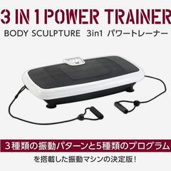 【引取り限定】 BODY SCULPTURE 振動マシン 3in1 パワートレーナー 3種類の振動パターン の画像