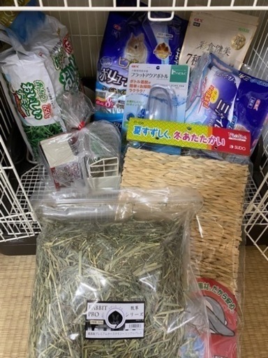 うさぎ飼育セット決定