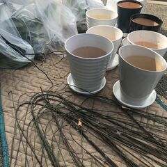 【半田市】お花の分別作業　★アルバイト・パート★の画像