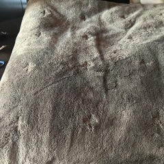 無印良品　こたつとこたつ敷きの画像