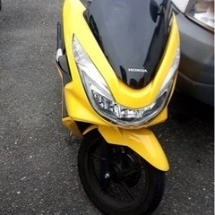 pcx150 新色のイエロー