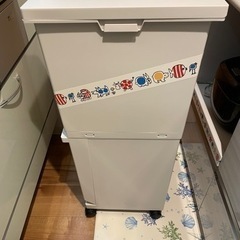 【お話中】ニトリ2段ゴミ箱55Ｌ、収納ケース2個セット