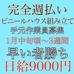 全額週払い　ビニールハウス組立　手元作業員募集