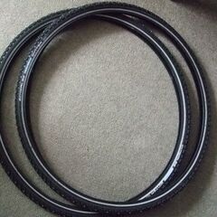 SCHWALBE シュワルベ　マラソン　WINTER　スパイクタ...
