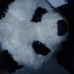 新潮文庫100冊景品　YONDAくん（超入手困難品）欲しかった人に　の画像