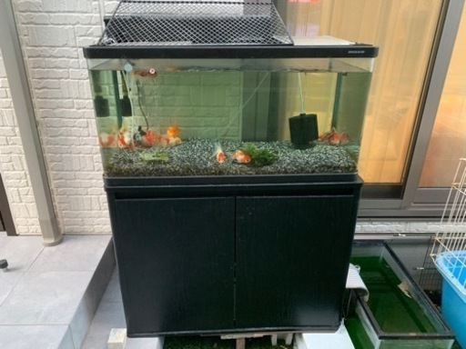 90センチ水槽＋専用水槽台