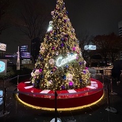 12/25クリスマスパーティ交流会　一人参加歓迎の画像