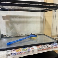 60センチ水槽