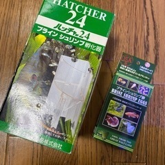 ブラインシュリンプ　孵化器　卵新品付き