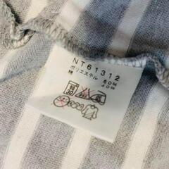 THE NORTH FACE（ノースフェイス）ボーダーロングTシャツの画像