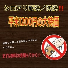 白蟻駆除／予防‼️虫が活発な時期になる前に😨‼️