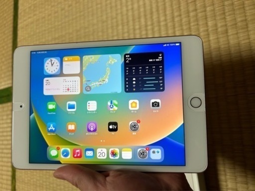 [値下げました] iPad mini 5 Wi-Fi + Cellular 64GB SIMロック解除済み