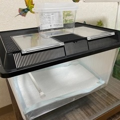 【受け渡し決まりました】虫かご　爬虫類　飼育　プラケース