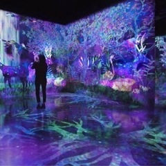 チームラボやアート.デザイン好きな人とお友達なりたい💫 - 福岡市