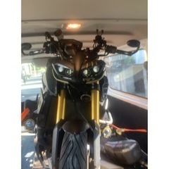 年末セ-ルmt09の画像