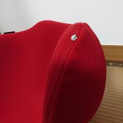 クビレディの画像
