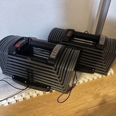 可変式ダンベルの画像