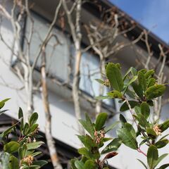 値下げしました/Canon EOS Kiss X3 ダブルズームsetの画像