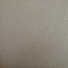 （売約済）壁紙本舗のノリ付き壁紙　クロスの上から施工可能品の画像