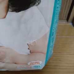 パンパーステープLサイズ×3の画像