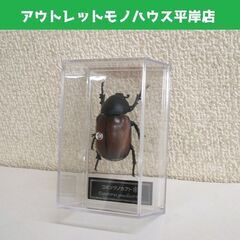 未使用品★デアゴスティーニ 世界の昆虫 データブック ゴホンヅノ...