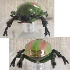 未使用品★デアゴスティーニ 世界の昆虫 データブック ニジイロクワガタ 雌 メス ケース付　フィギュア クワガタムシ ☆ PayPay(ペイペイ)決済可能 ☆ 札幌市 豊平区 平岸の画像