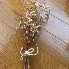 ドライフラワー5点セットの画像