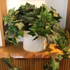 ドライフラワー5点セットの画像