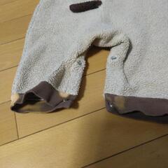 わんちゃんもこもこ訳ありの画像