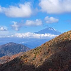 登山仲間募集（埼玉西部近い方）
