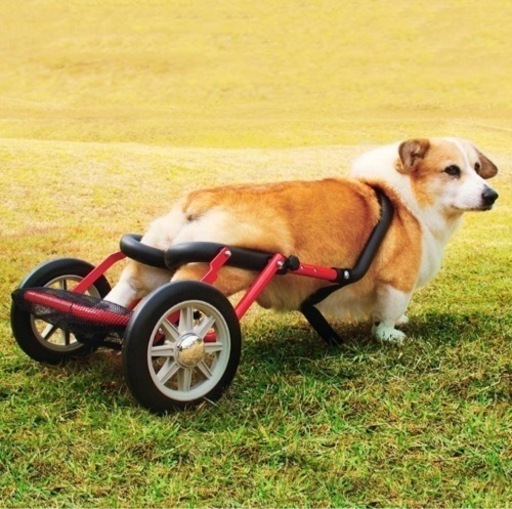 【ほぼ未使用】ドッグウォーカー　コーギー　介護用