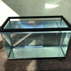 ガラス水槽　60×30×36　ニッソー　蓋つき