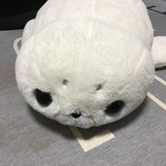 決まりました。ほわほわアザラシぬいぐるみ