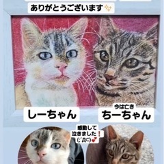 ペット似顔絵描きます★の画像