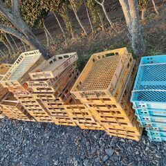 プラスチックコンテナ無料　残り30枚！ほしい枚数だけ、ご自由にどうぞ！