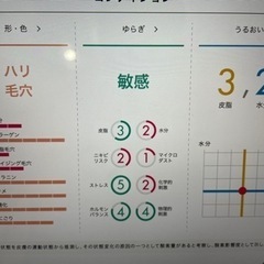 お肌診断