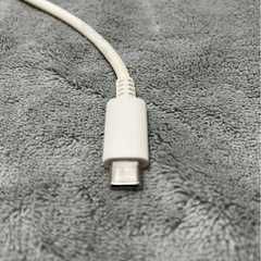 [お取引完了]SoftBank 急速充電器typeCの画像