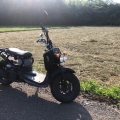 Honda zoomer