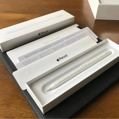 iPad Pro 12.9inch 256GB 第4世代 Apple pencil 第2世代