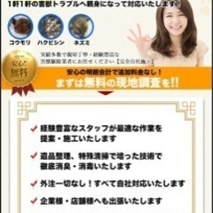 害獣ゼロの三浦です。害獣でお困りの方是非！ - 地元のお店