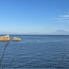 スキューバダイビング仲間募集中❗️小さい生物も大きい生物も❣️ - 大田区