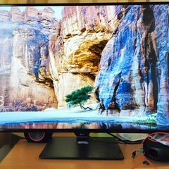 【引っ越しのため緊急処分】 LG 42.5インチ液晶モニター 4...