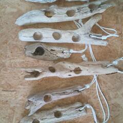 エアプランツ用流木ポット 全て無料の画像