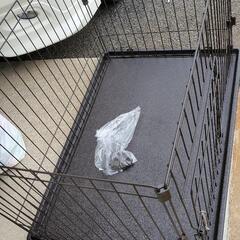 ご購入者様決まりました   ペットゲージ