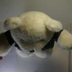 白熊(クヌート?)ぬいぐるみ H=約33cm 長期保管品 比較的きれいです 取りに来ていただける方  受け渡し自由          の画像