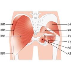 ●６０分　２９８０円《初回お試し割引》　尻痛・腰痛専門整体の画像