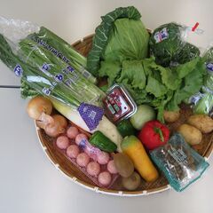 【Wワーク歓迎‼︎ノルマなし◎】4h~/日勤務可！ToB向けのルート配送スタッフ募集中！業務用野菜を届けるお仕事です♪の画像