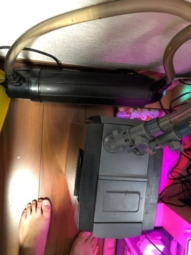 カミハタ ターボツイストZ 36W 殺菌灯 海水淡水両用 